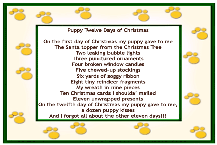 puppyxmas2a